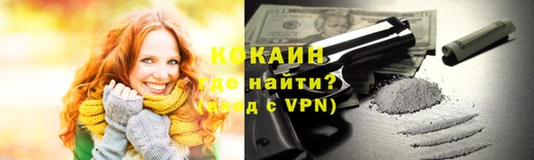 шишки Кодинск