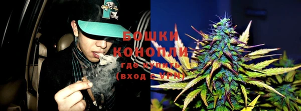 молекула духа Зеленокумск