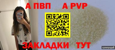 стаф Кулебаки