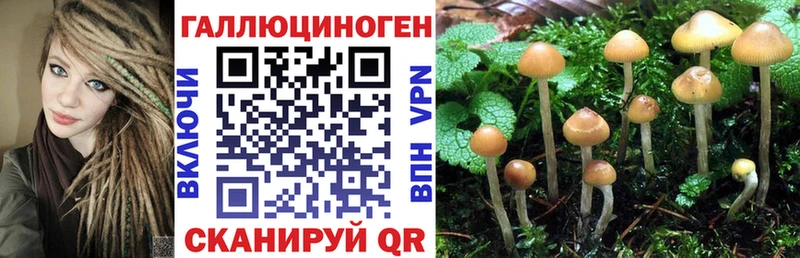 Псилоцибиновые грибы прущие грибы Красноуфимск
