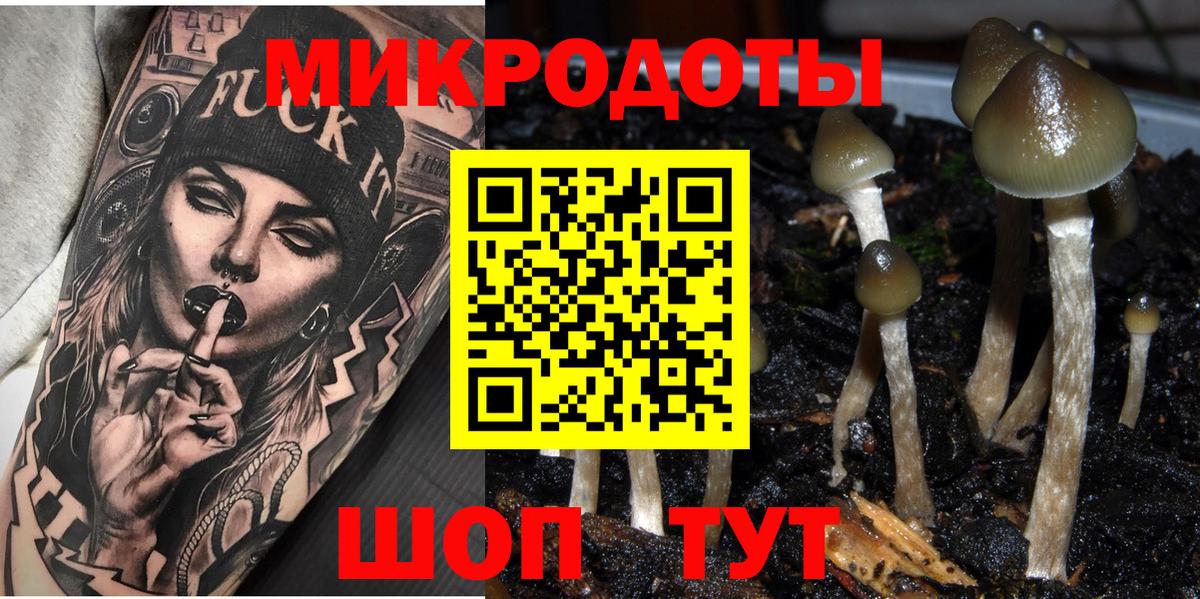 Красноуфимск  Псилоцибиновые грибы Psilocybine cubensis  Вход с VPN 